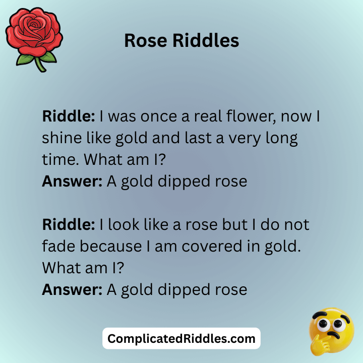 Gold Dipped Rose Riddles