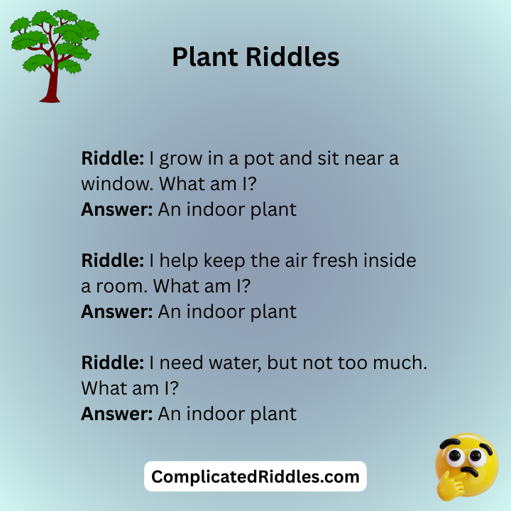 Indoor Plant Riddles