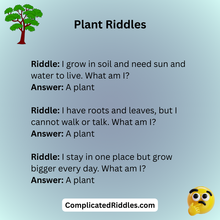 Plant Riddles
