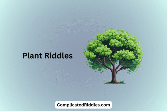 Plant Riddles
