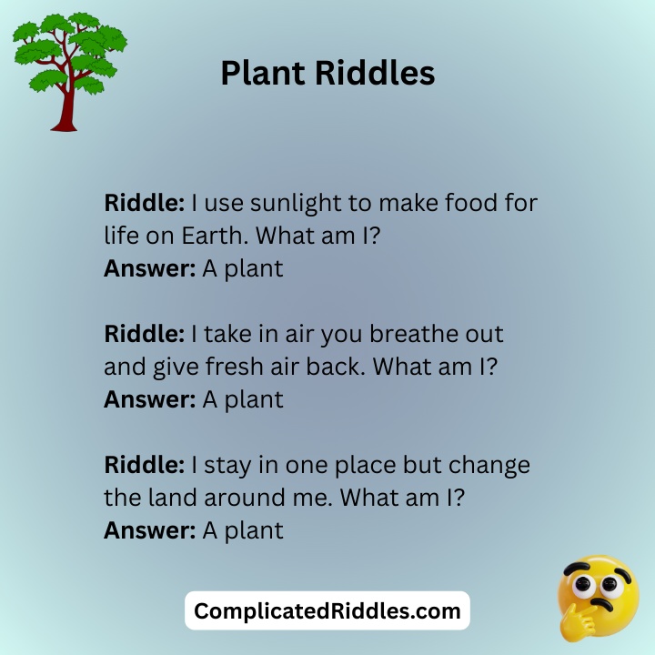 Plant Riddles For Adults