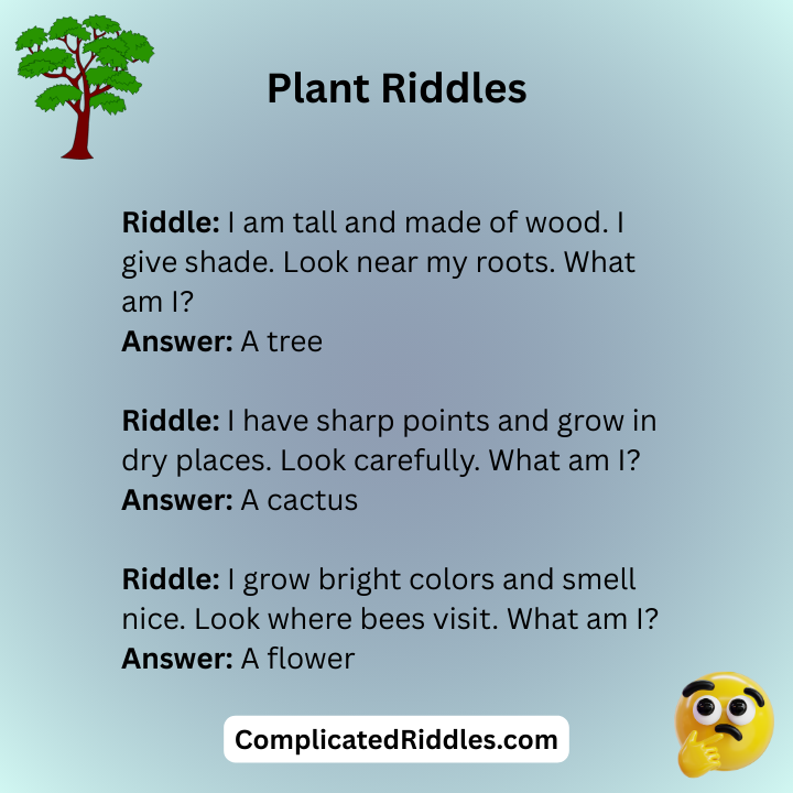 Plant Riddles For Treasure Hunt