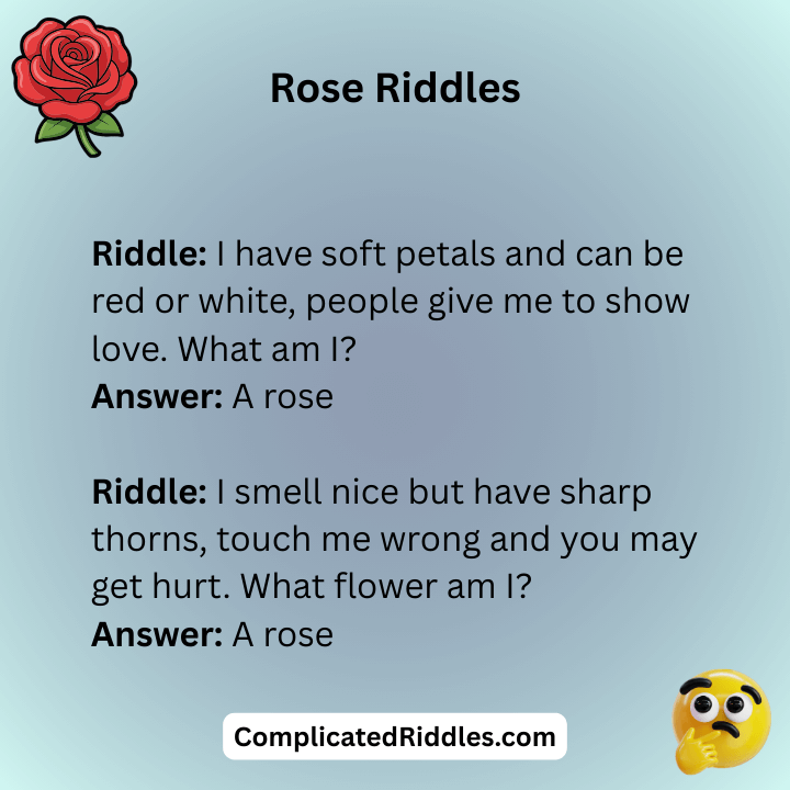 Rose Riddles