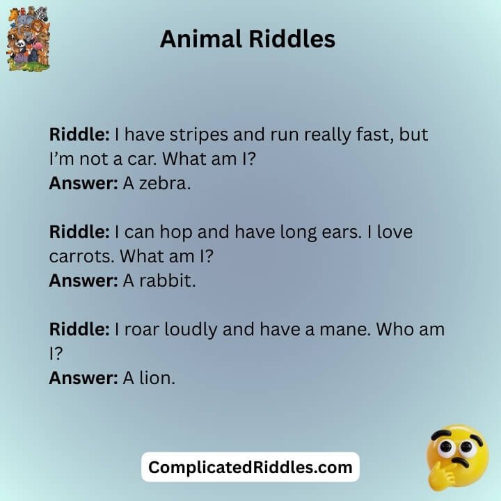 Animal Riddles