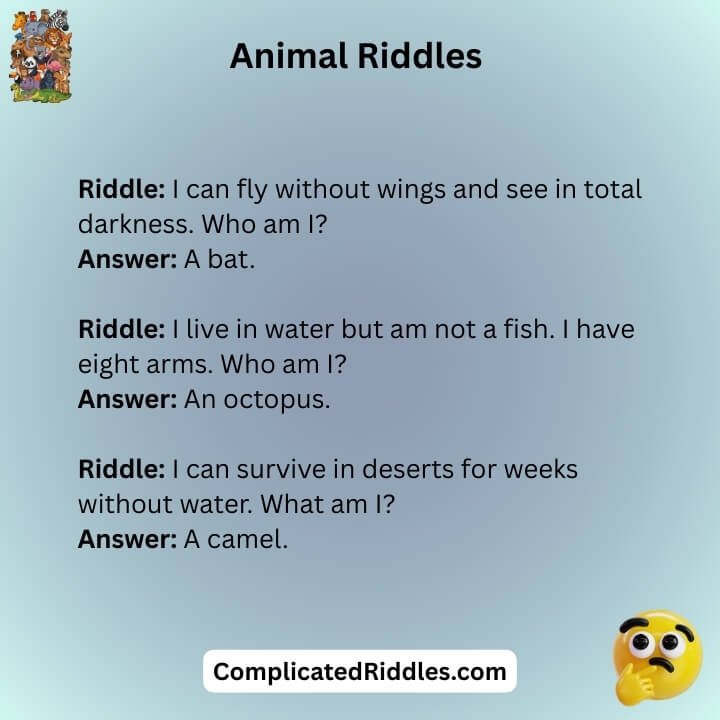 Animal Riddles Hard