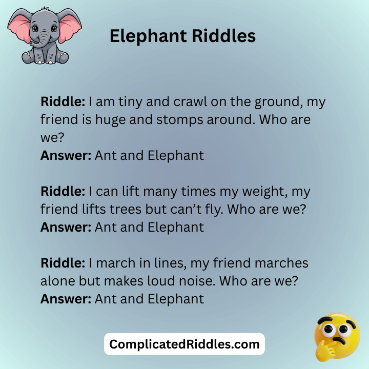 Ant And Elephant Riddles With Answers