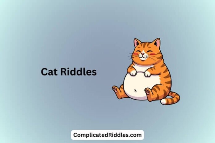 Cat Riddles