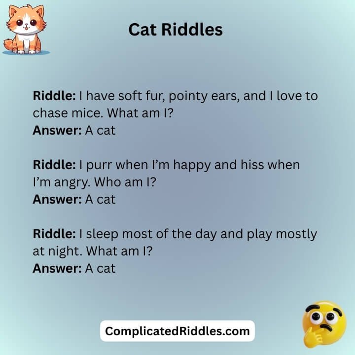Cat Riddles With Answers