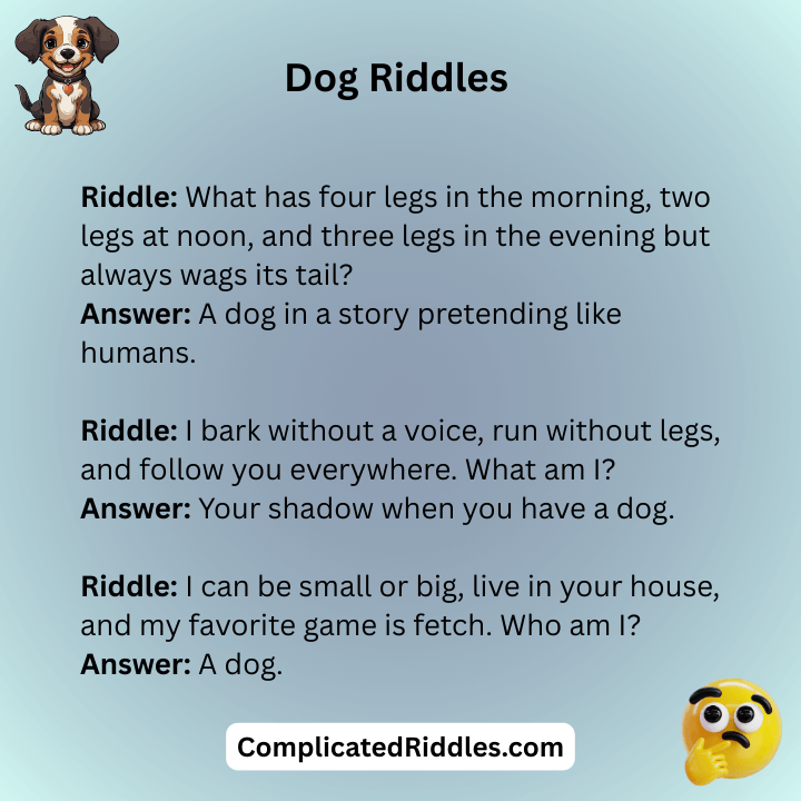 Dog Riddles