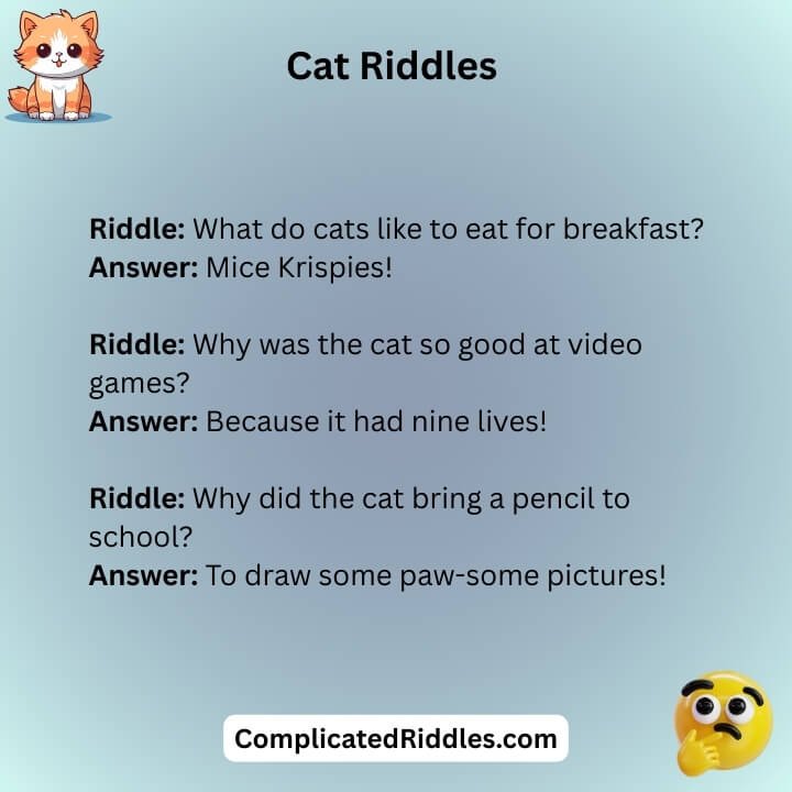 Funny Cat Riddles