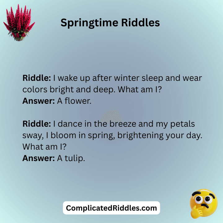 Springtime Riddles