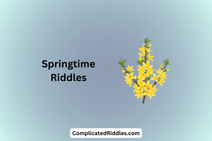 Springtime Riddles