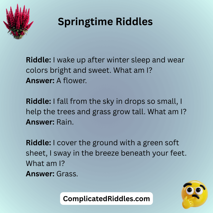 Springtime Riddles For Kids