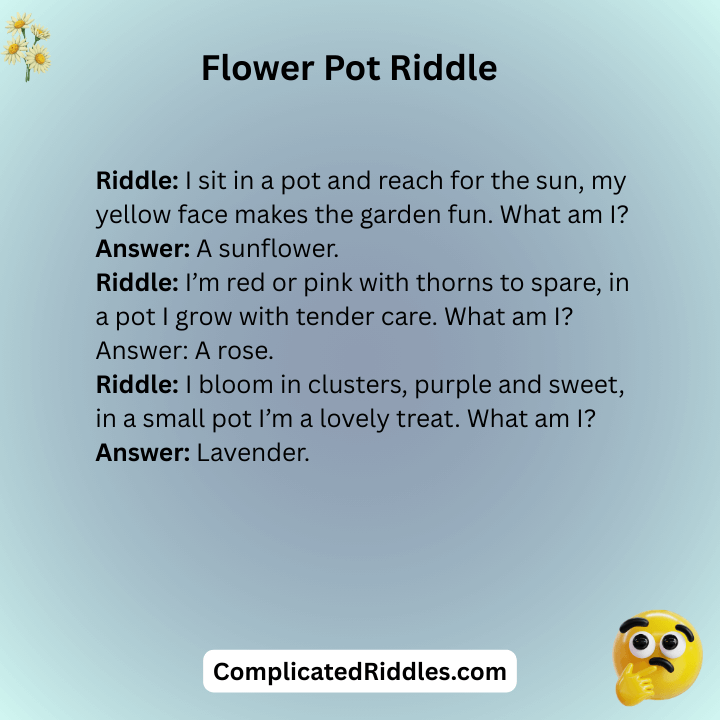 Flower Pot Riddle