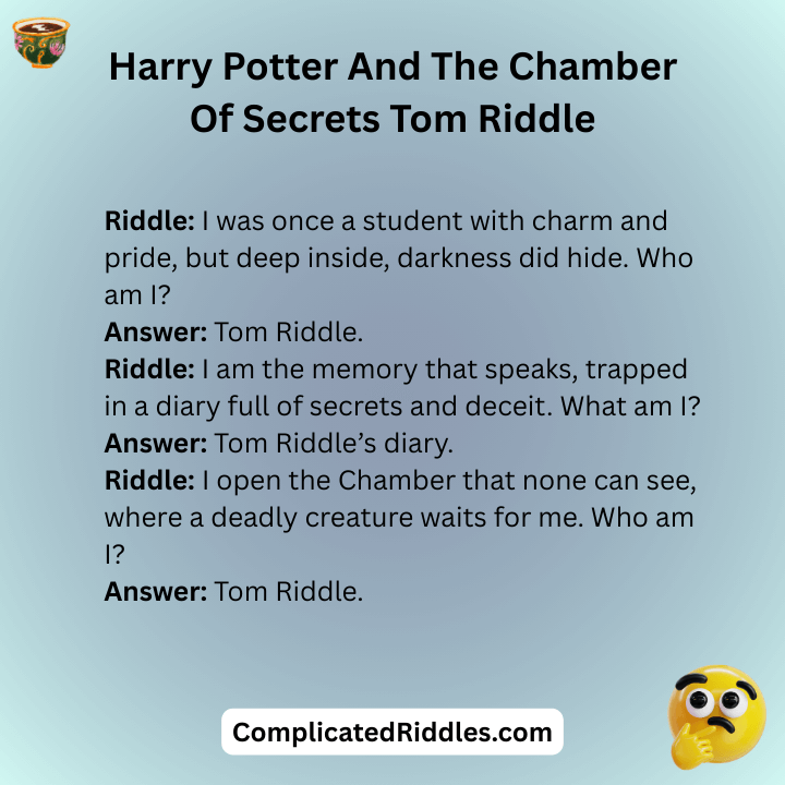 Harry Potter And The Chamber Of Secrets Tom Riddle