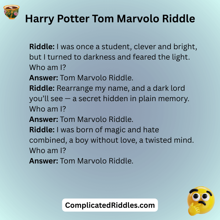 Harry Potter Tom Marvolo Riddles