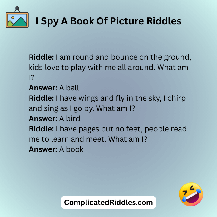 I Spy A Book Of Picture Riddles