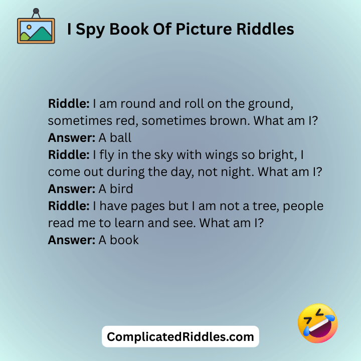 I Spy Book Of Picture Riddles