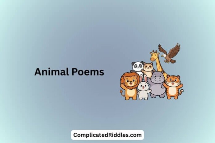 Animal Poems