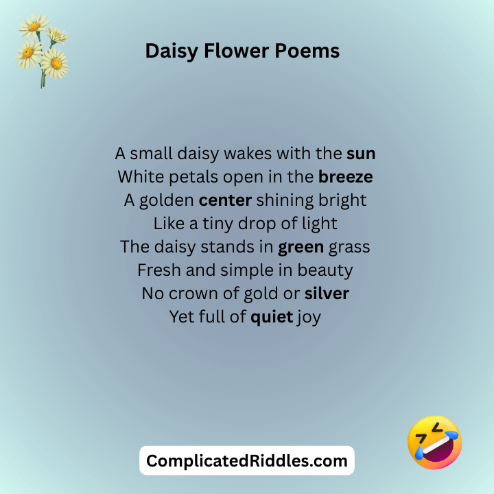 Daisy Flower Poems