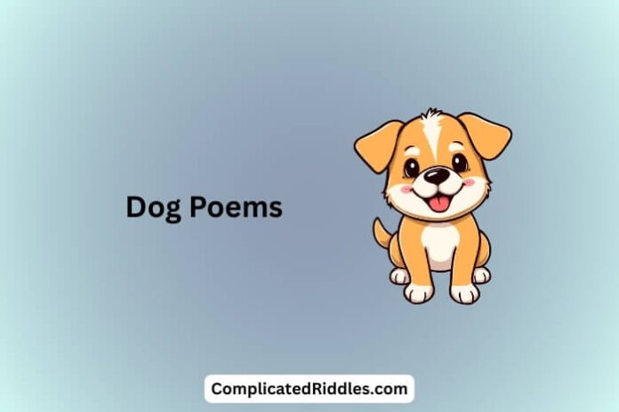 Dog Poems