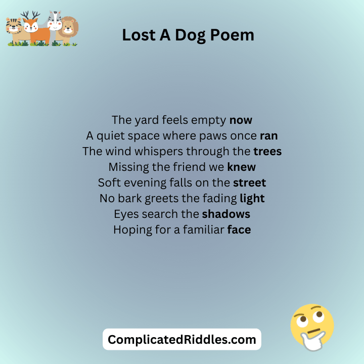 Lost A Dog Poem