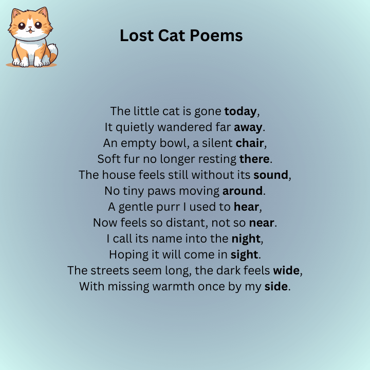 Lost Cat Poems
