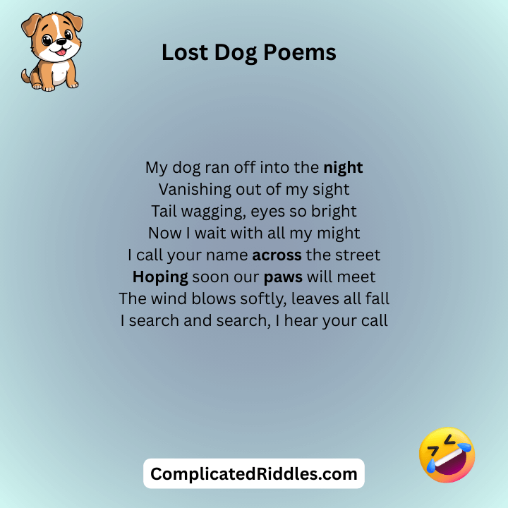 Lost Dog Poems