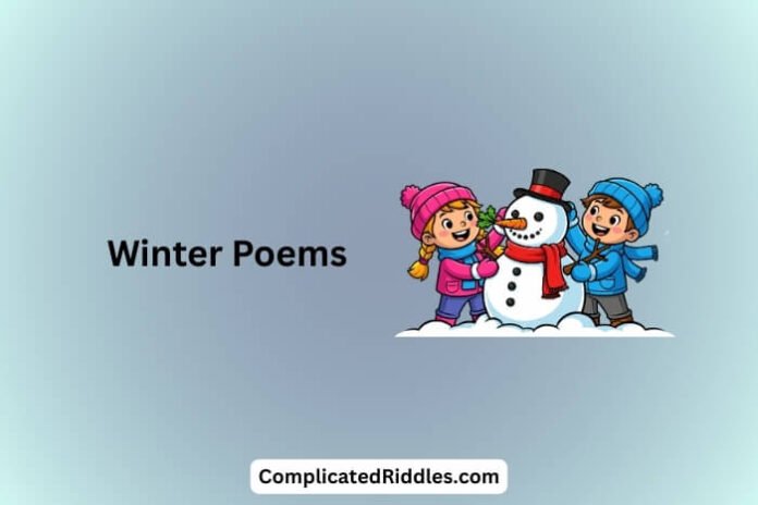 Winter Poems