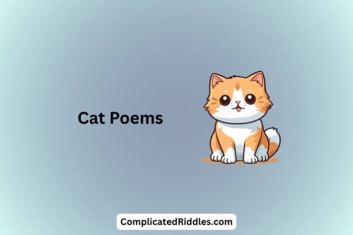 Cat Poems