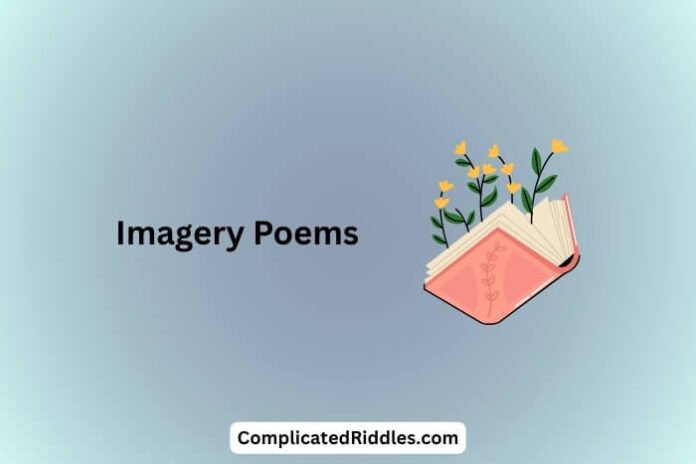 Imagery Poems