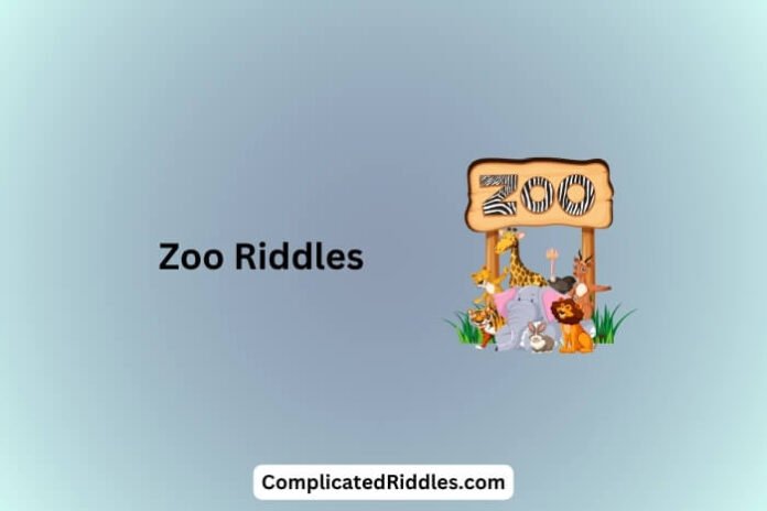 Zoo Riddles