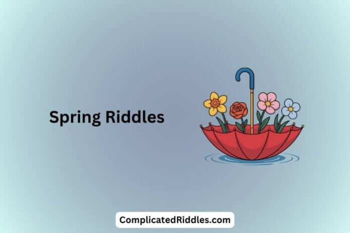 Spring Riddles