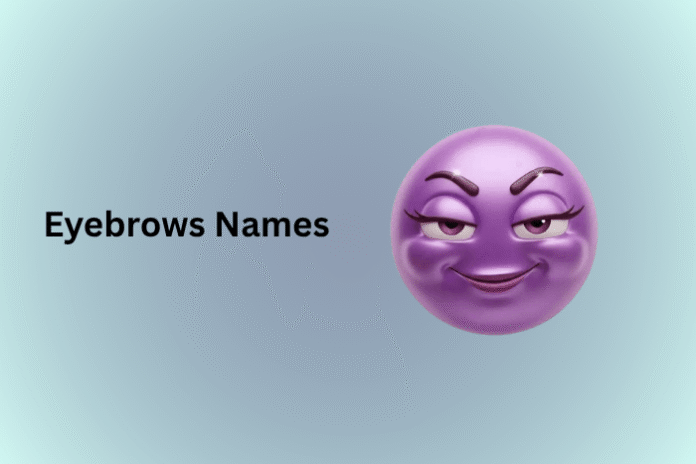 Eyebrows Names
