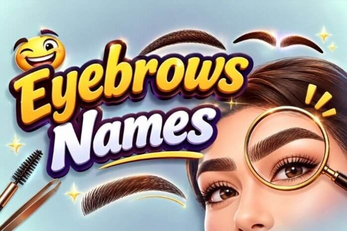 Eyebrows Names