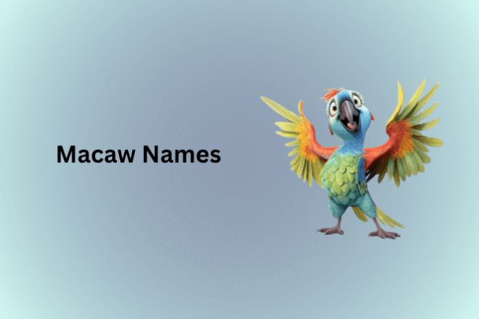 Macaw Names