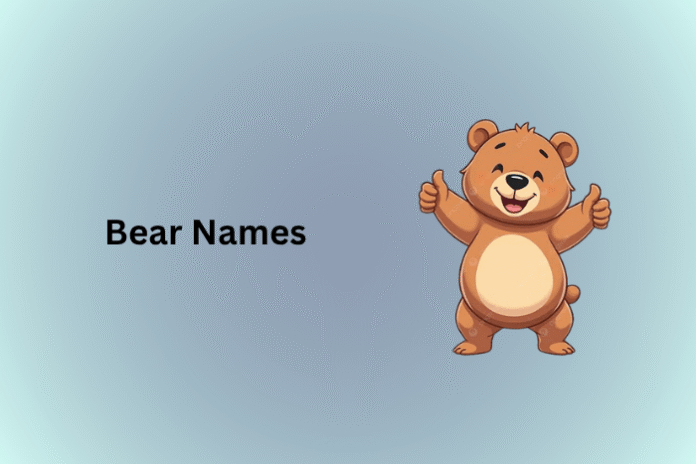 Bear Names