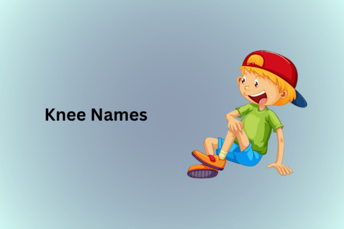 Knee Names